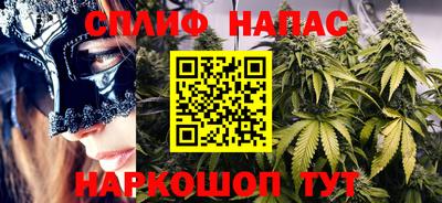 МДПВ Дубна