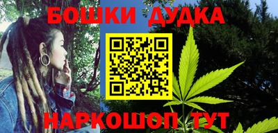 МДПВ Дубна