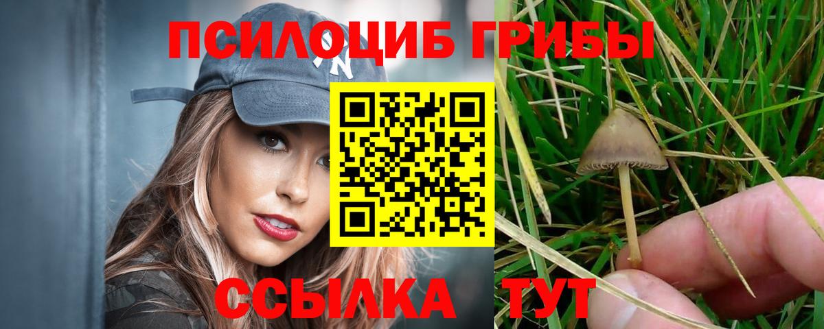 Псилоцибиновые грибы мицелий Джанкой