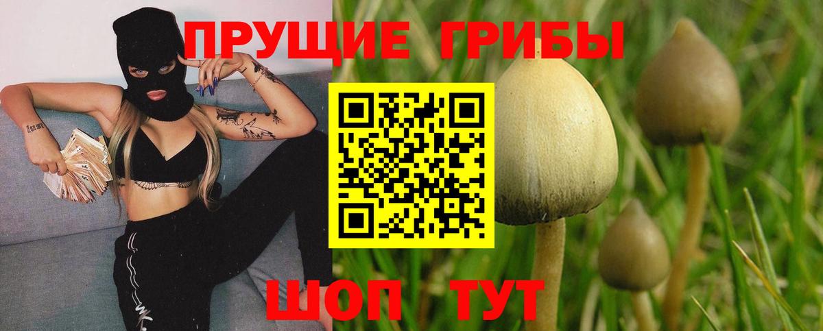 Псилоцибиновые грибы ЛСД  Галлюциногенные грибы мухоморы  Джанкой 