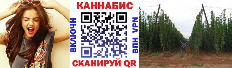 кракен ссылки Джанкой Каннабис планчик купить наркоту